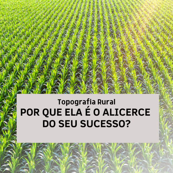Por que ela é o alicerce do seu sucesso?